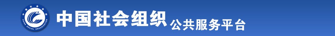 c逼视全国社会组织信息查询